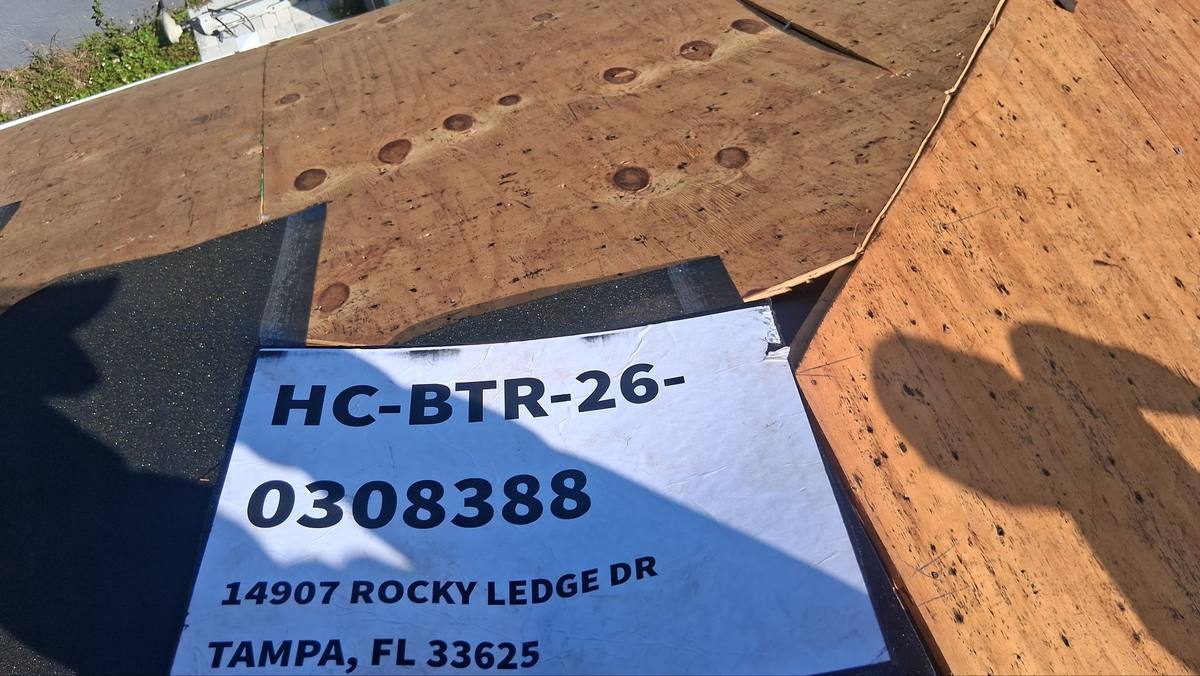 shingle roof replacement in Tampa, Florida