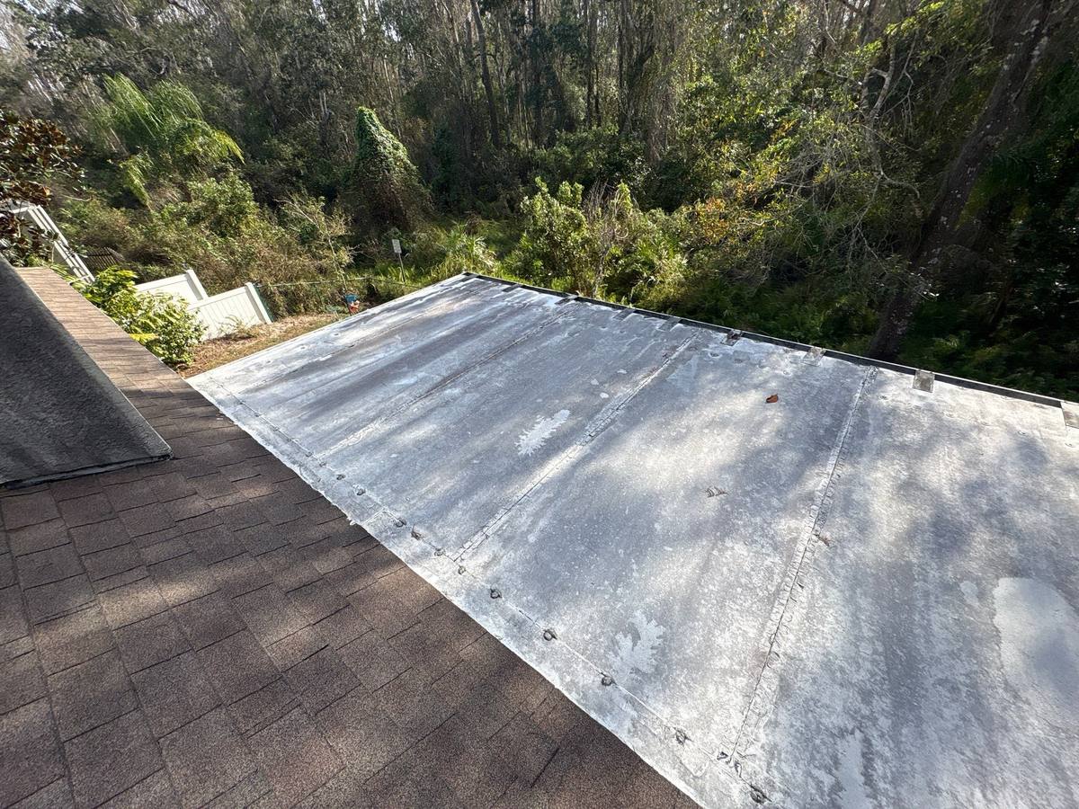 shingle roof replacement in Land O Lakes, Florida