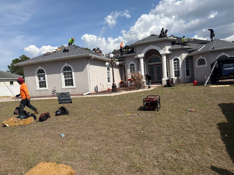 shingle roof replacement in Brooksville, Florida