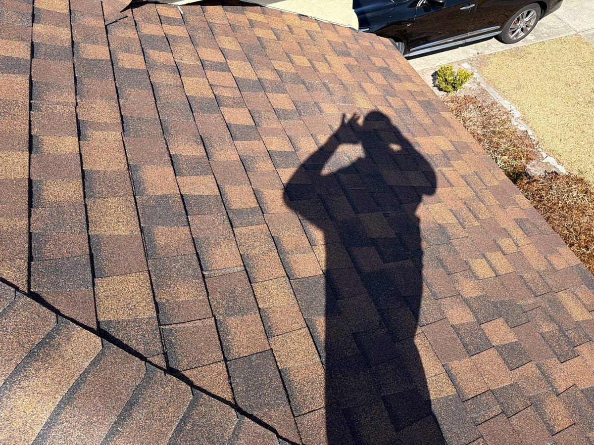 shingle roof replacement in Wesley Chapel, Florida