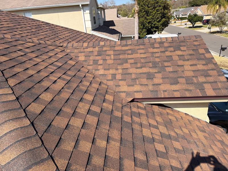 completed roofing project in Wesley Chapel FL