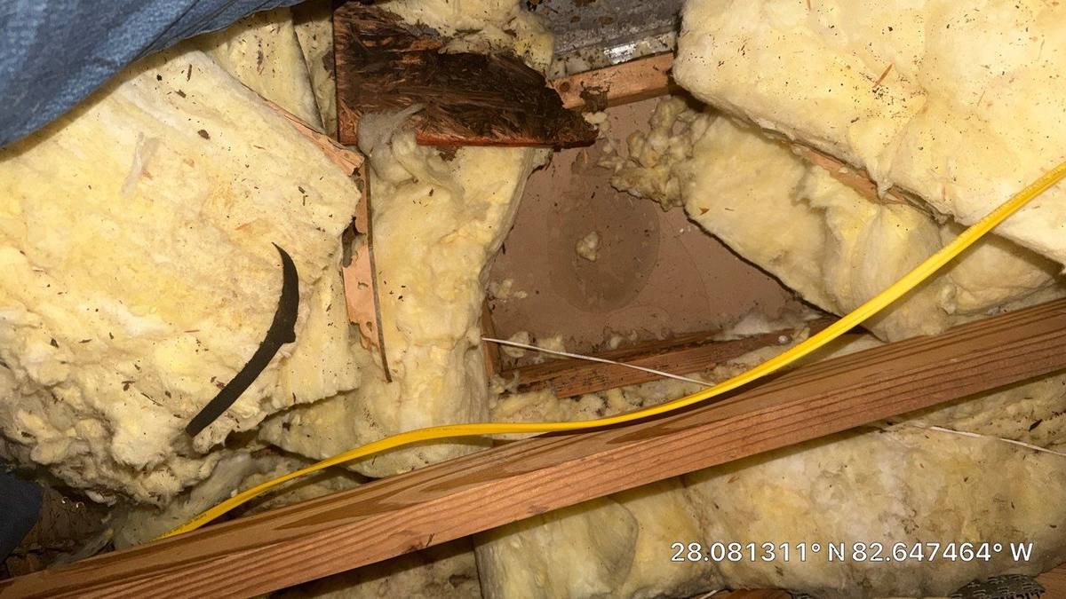 shingle roof replacement in Tampa, Florida