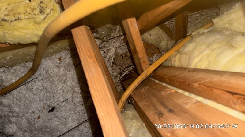 roofing project near Tar Flower Dr in Tampa
