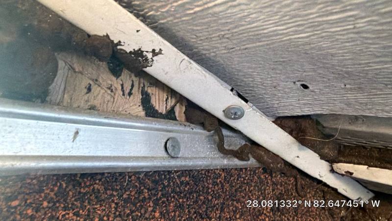 residential shingle roof replacement by Hloska Roofing in Tampa