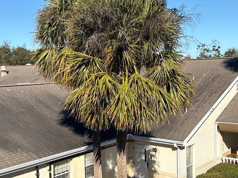 completed roofing project in Seminole FL
