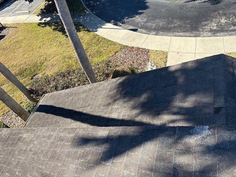 roof replacement in Largo, Florida