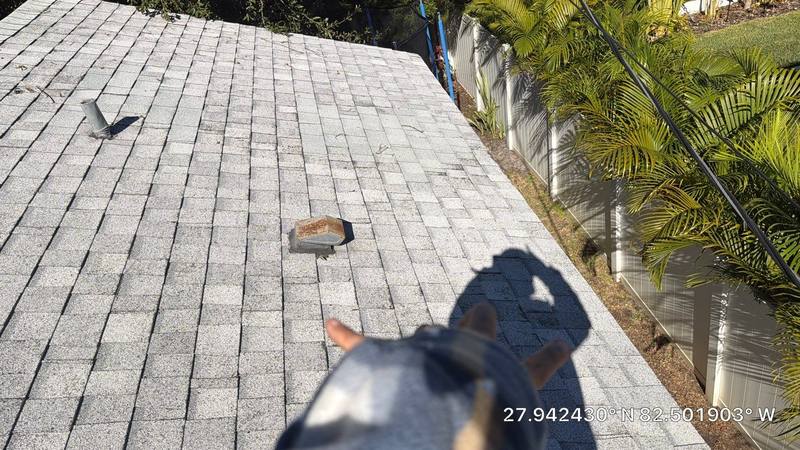 residential roof replacement by Hloska Roofing in Tampa