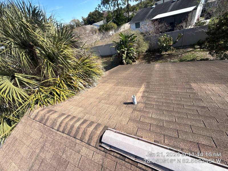 completed roofing project in Tampa FL
