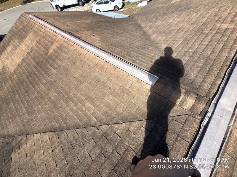 shingle roof replacement in Tampa, Florida