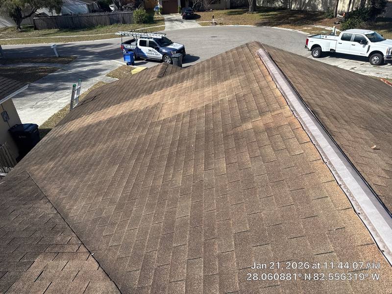 roofing project near Alida Place in Tampa
