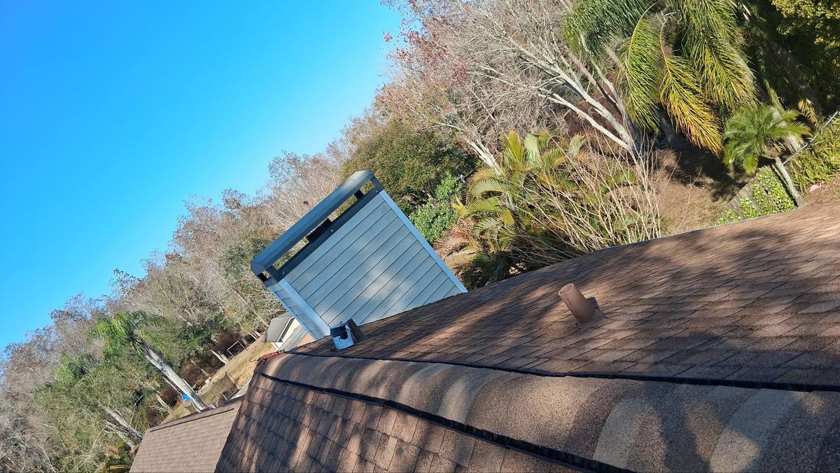 shingle roof replacement in Tampa, Florida