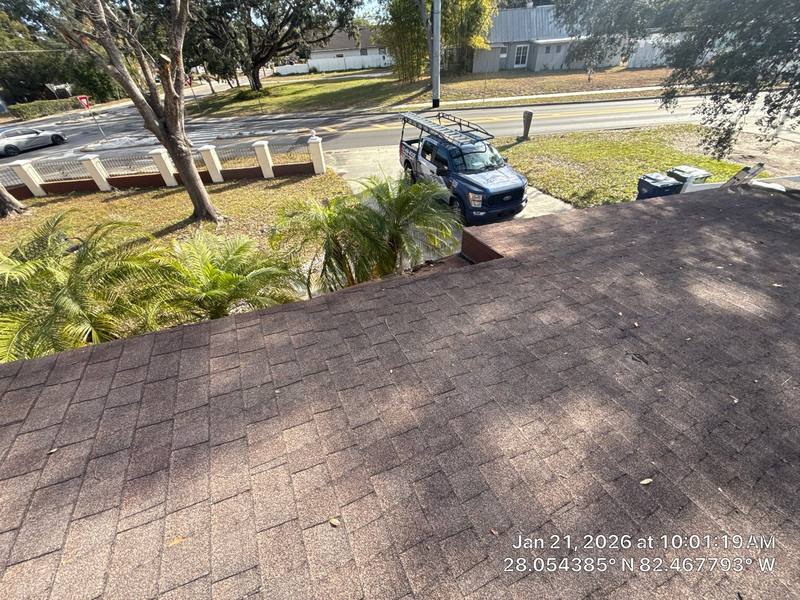 roofing project near N Blvd in Tampa