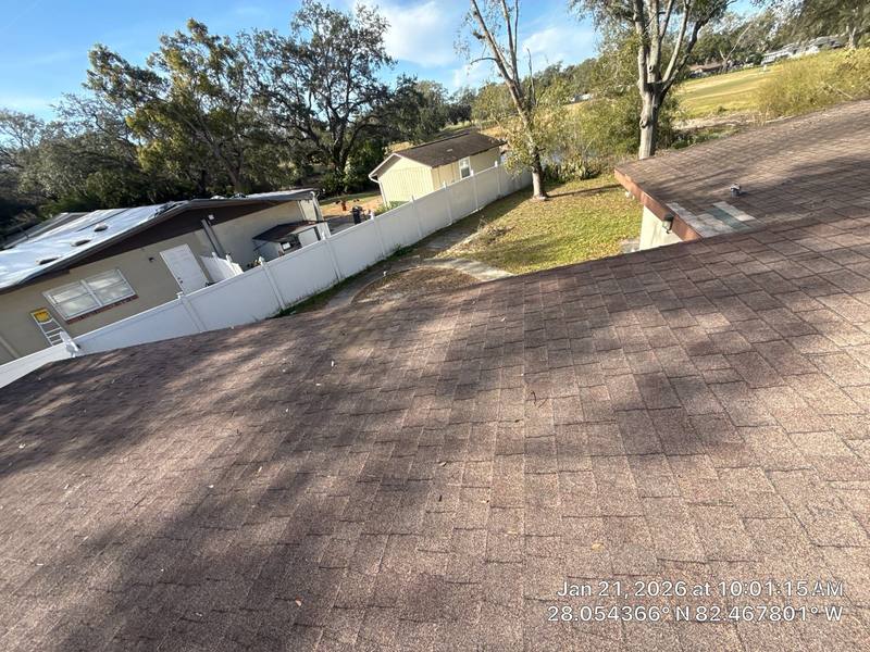 roofing project near N Blvd in Tampa
