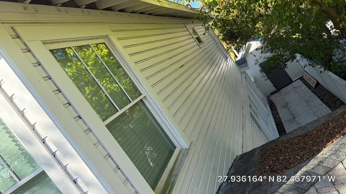 shingle roof replacement in Tampa, Florida
