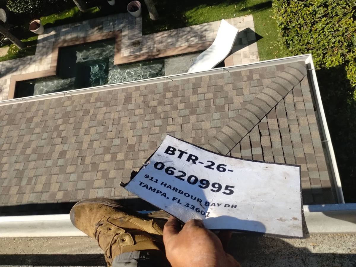 shingle roof replacement in Tampa, Florida