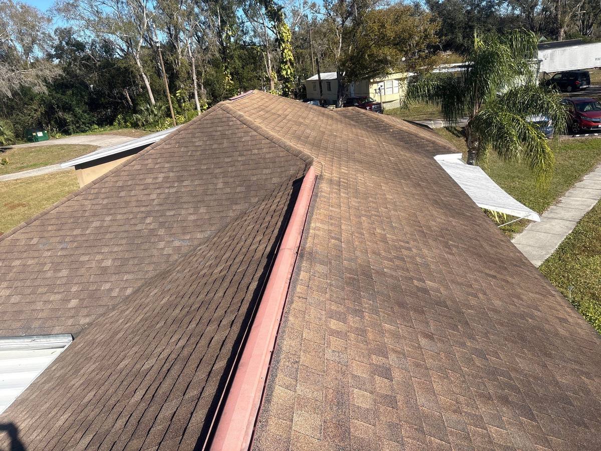 roof replacement in Lutz, Florida