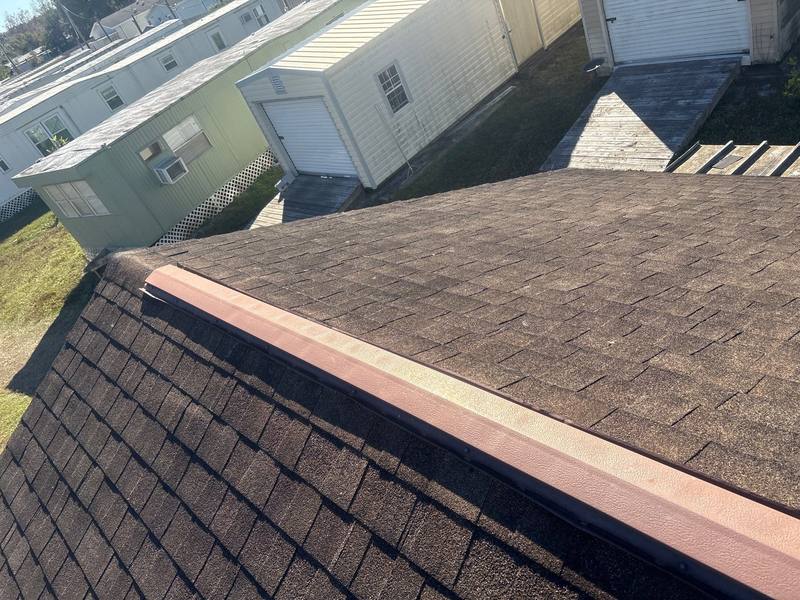 roofing project near Lady Lk Ln in Lutz