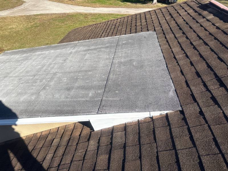 roofing project near Lady Lk Ln in Lutz