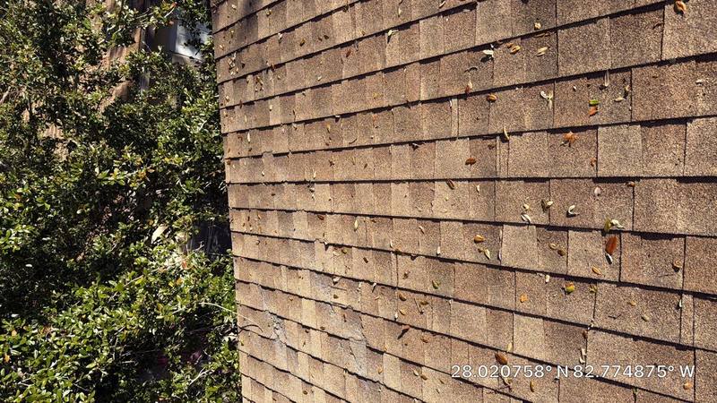 roofing project near Robin Hood Ln in Dunedin