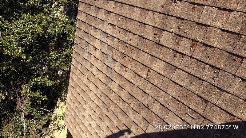 residential shingle roof replacement by Hloska Roofing in Dunedin