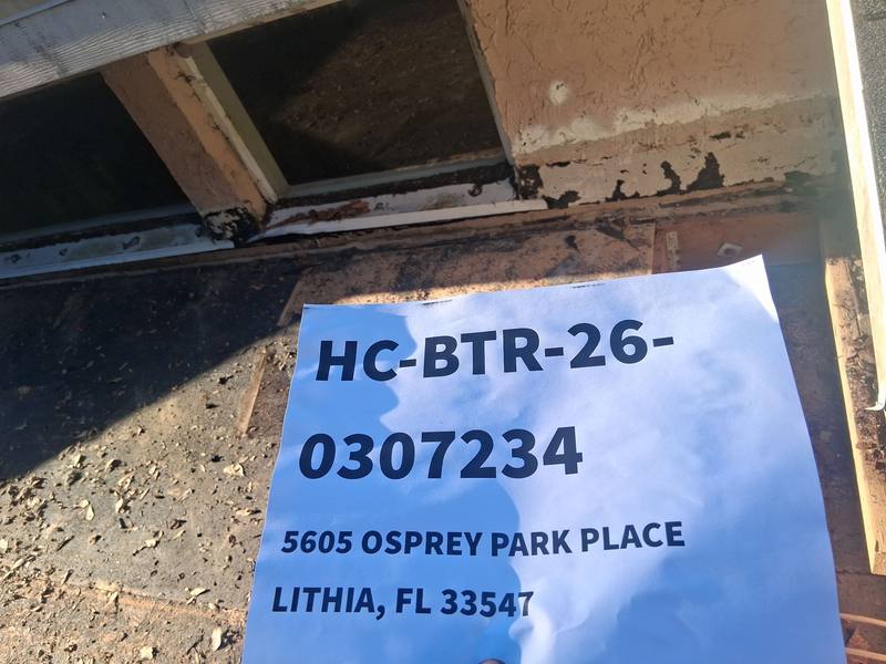 roofing project near Osprey Park Pl in Fish Hawk