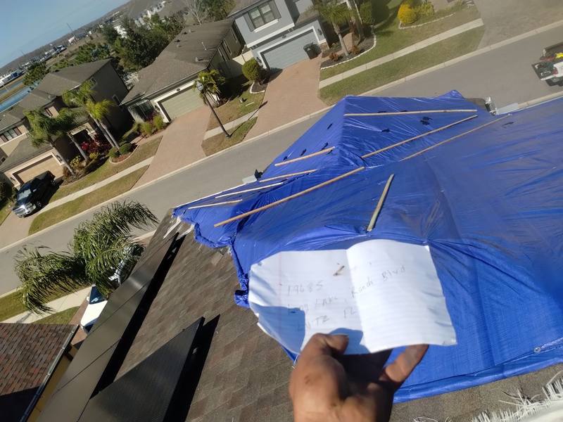 shingle roof replacement in Land O' Lakes, Florida