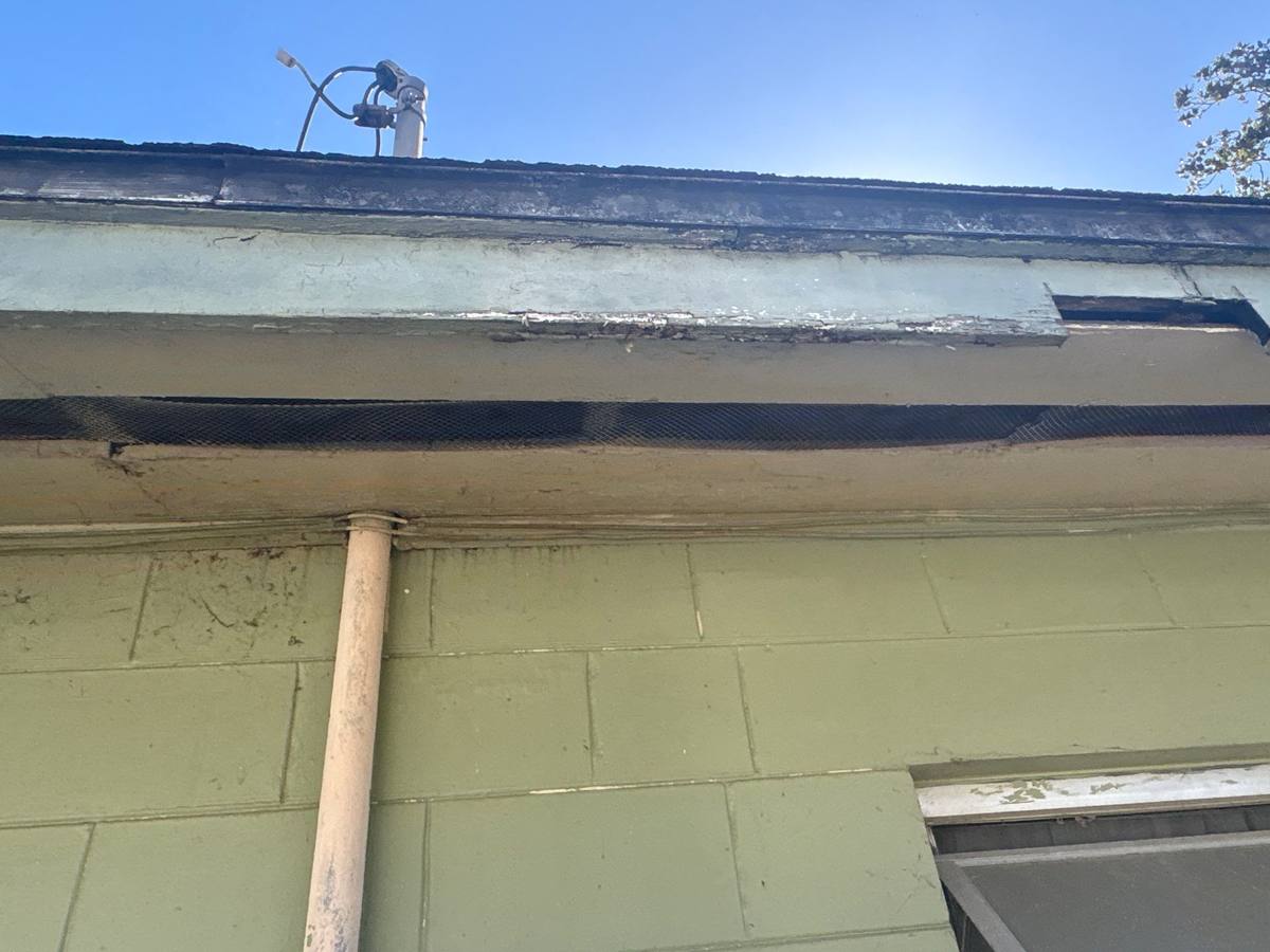 shingle roof replacement in Dade City, Florida