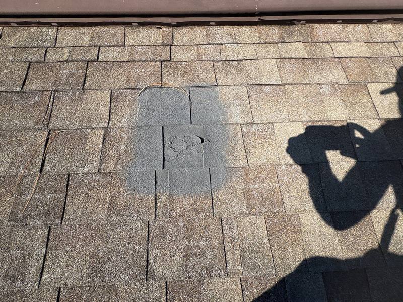 shingle roof replacement in Tampa, Florida