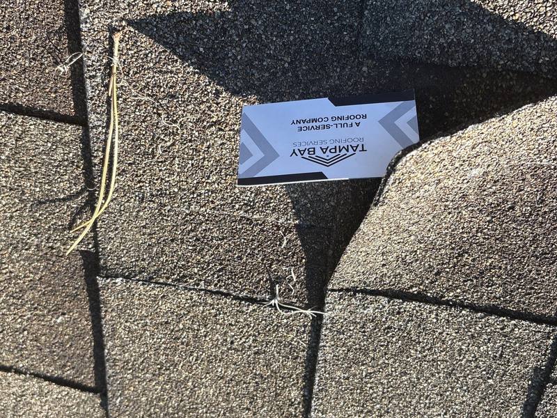 residential shingle roof replacement by Hloska Roofing in Tampa