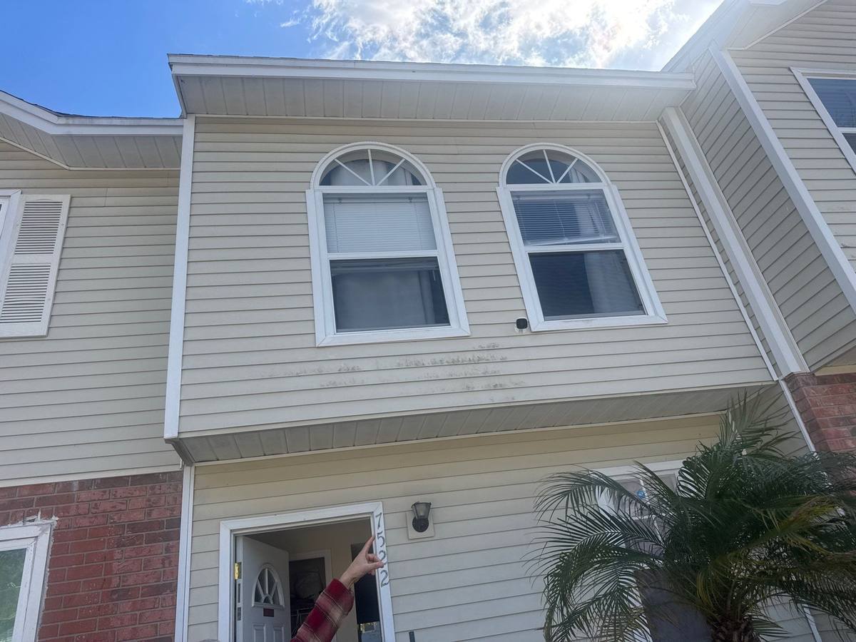 roof repair in Tampa, Florida