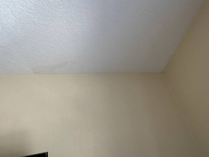 roofing project near Hollowell Dr in Tampa