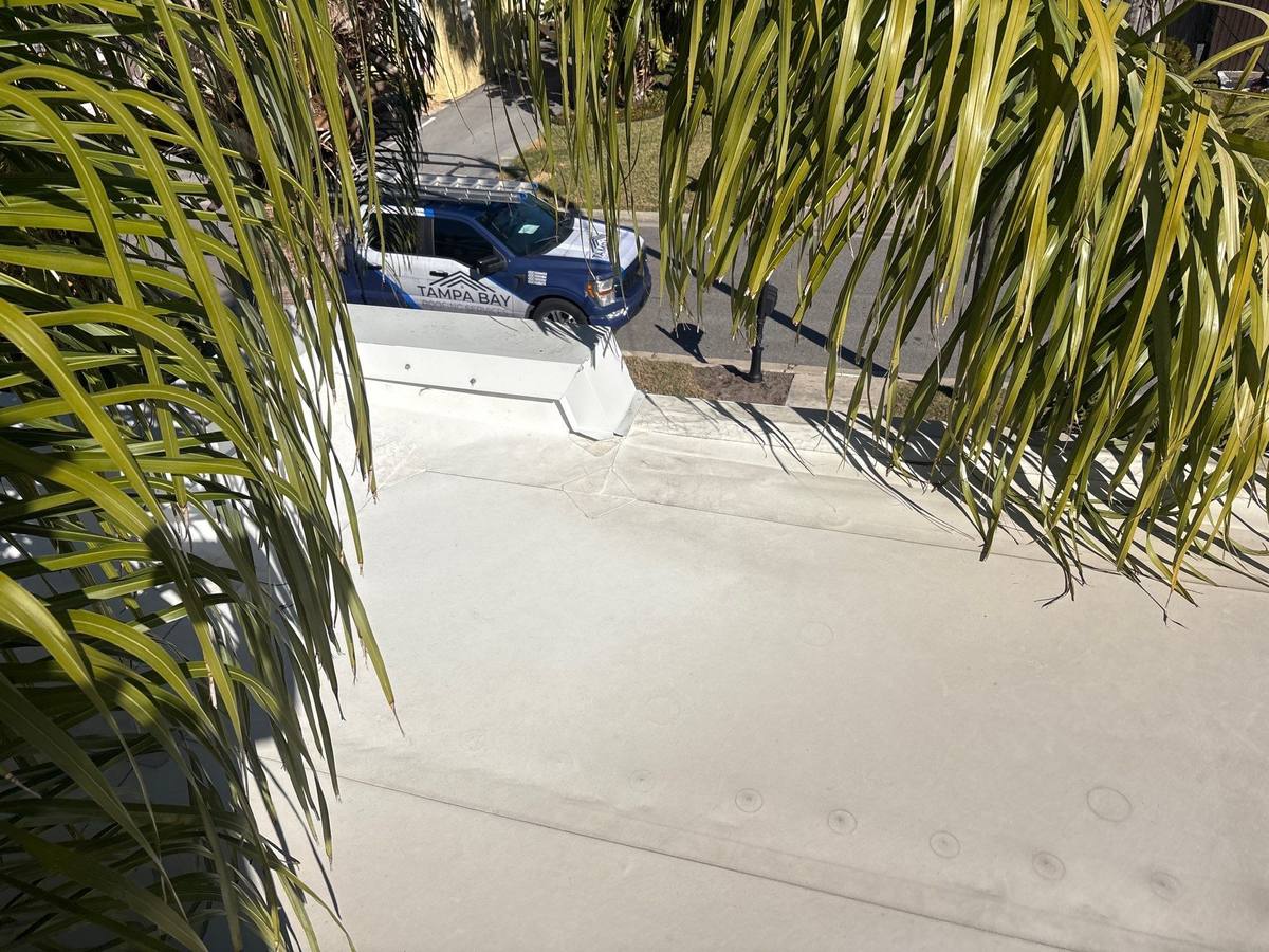 roof replacement in Tampa, Florida