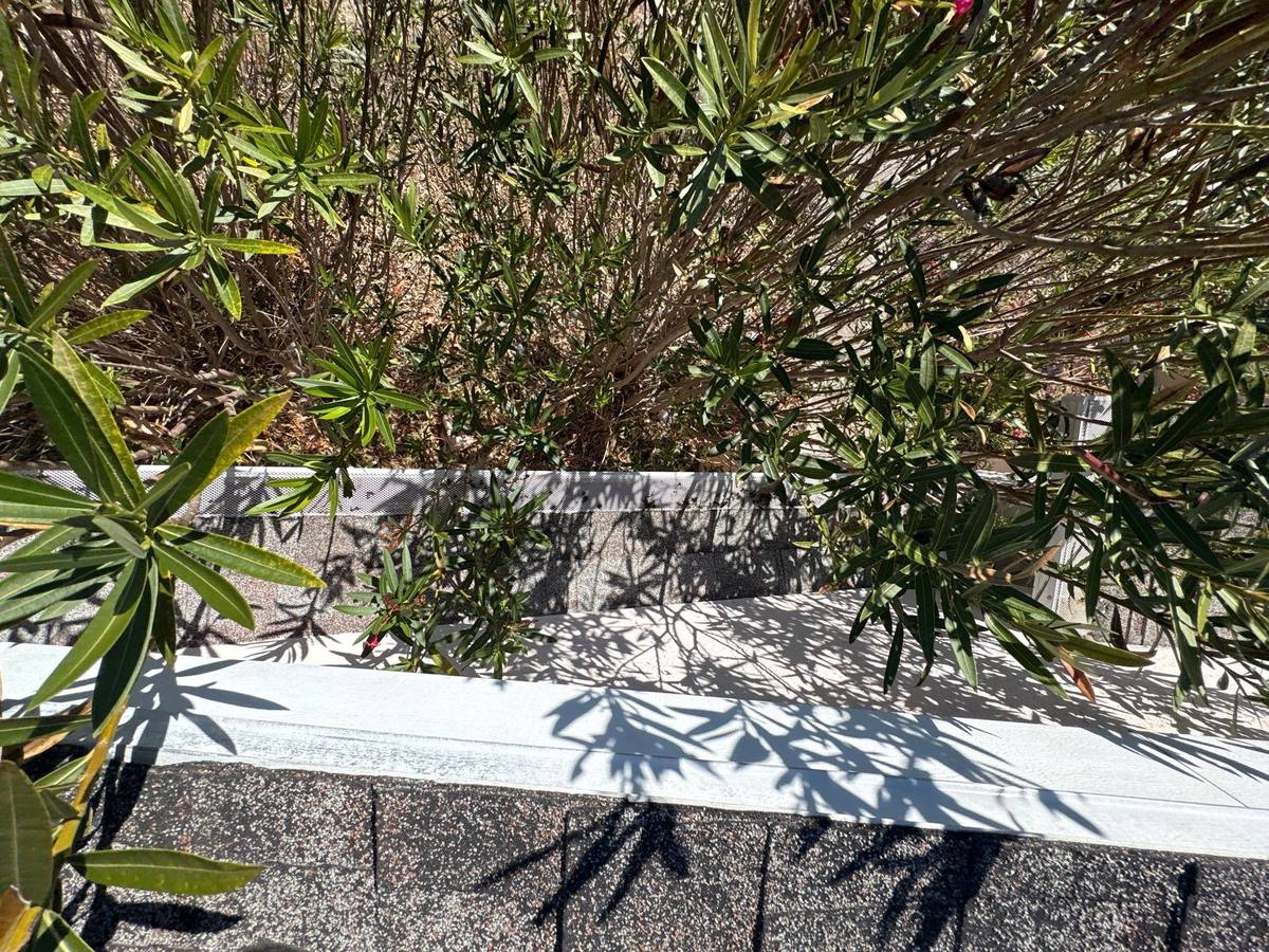 shingle roof replacement in Hudson, Florida