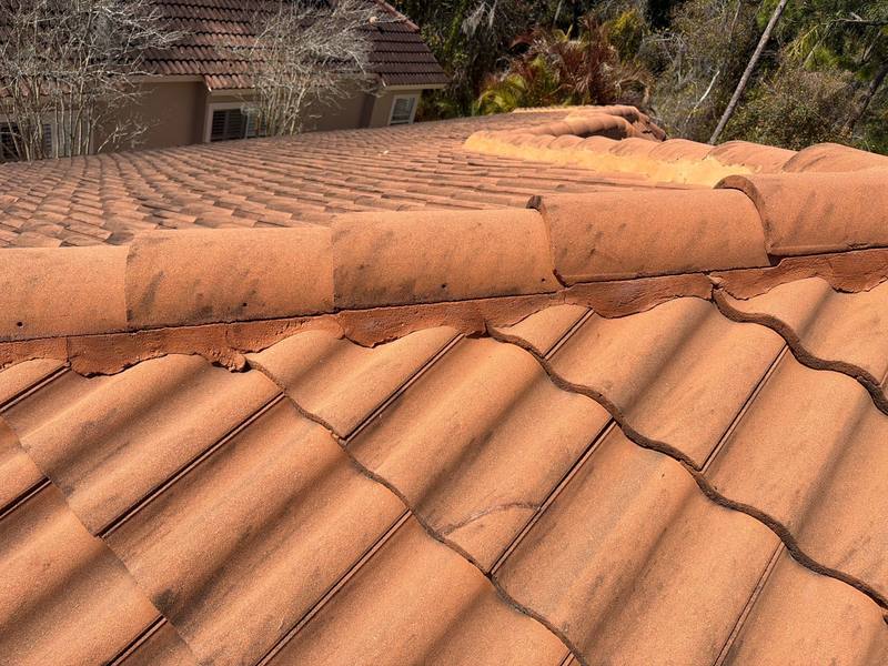 residential roof repair by Hloska Roofing in Tampa