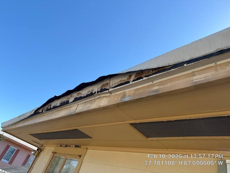 shingle roof replacement in St Petersburg, Florida