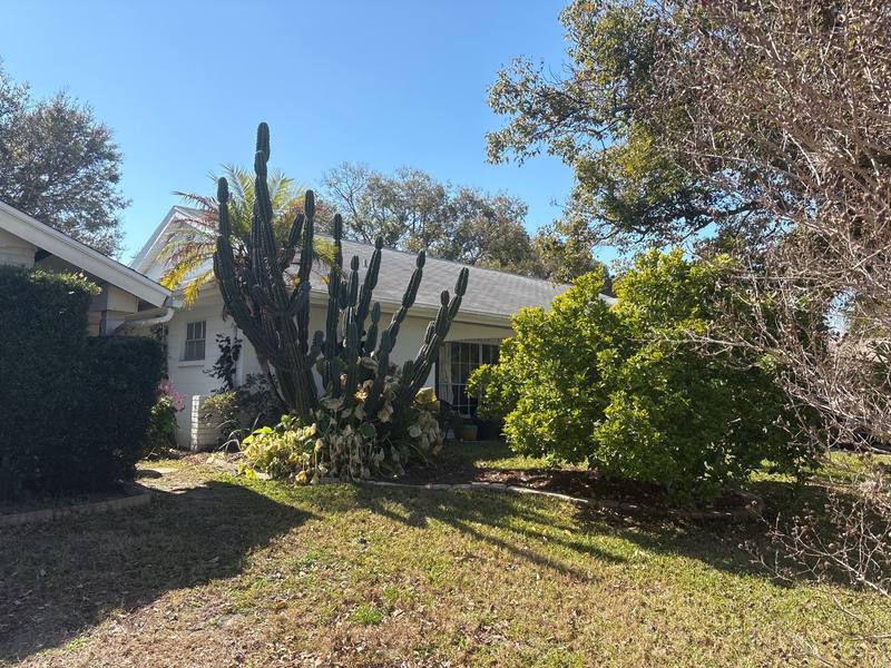shingle roof replacement in Hudson, Florida