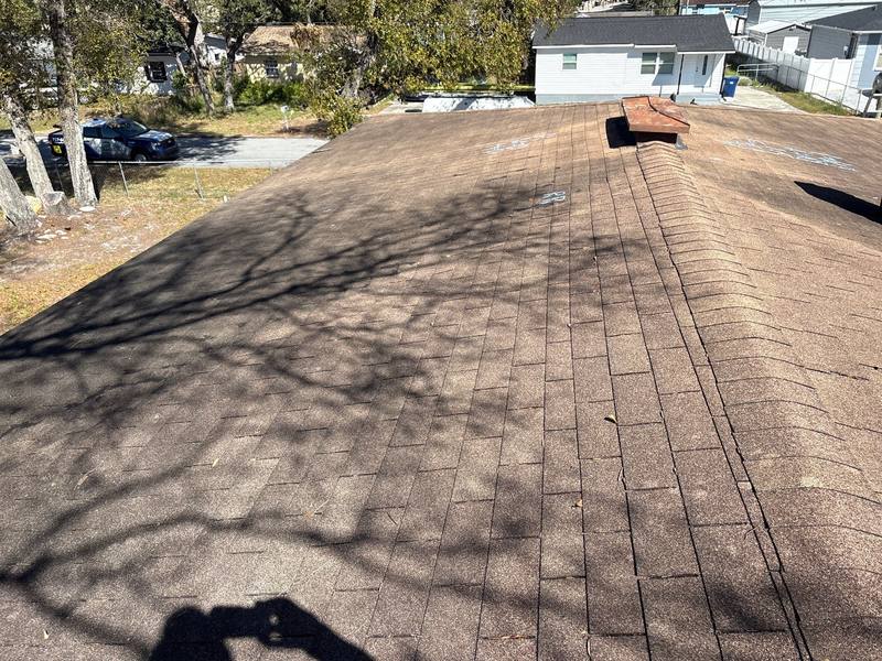 roofing project near E Annie St in Tampa