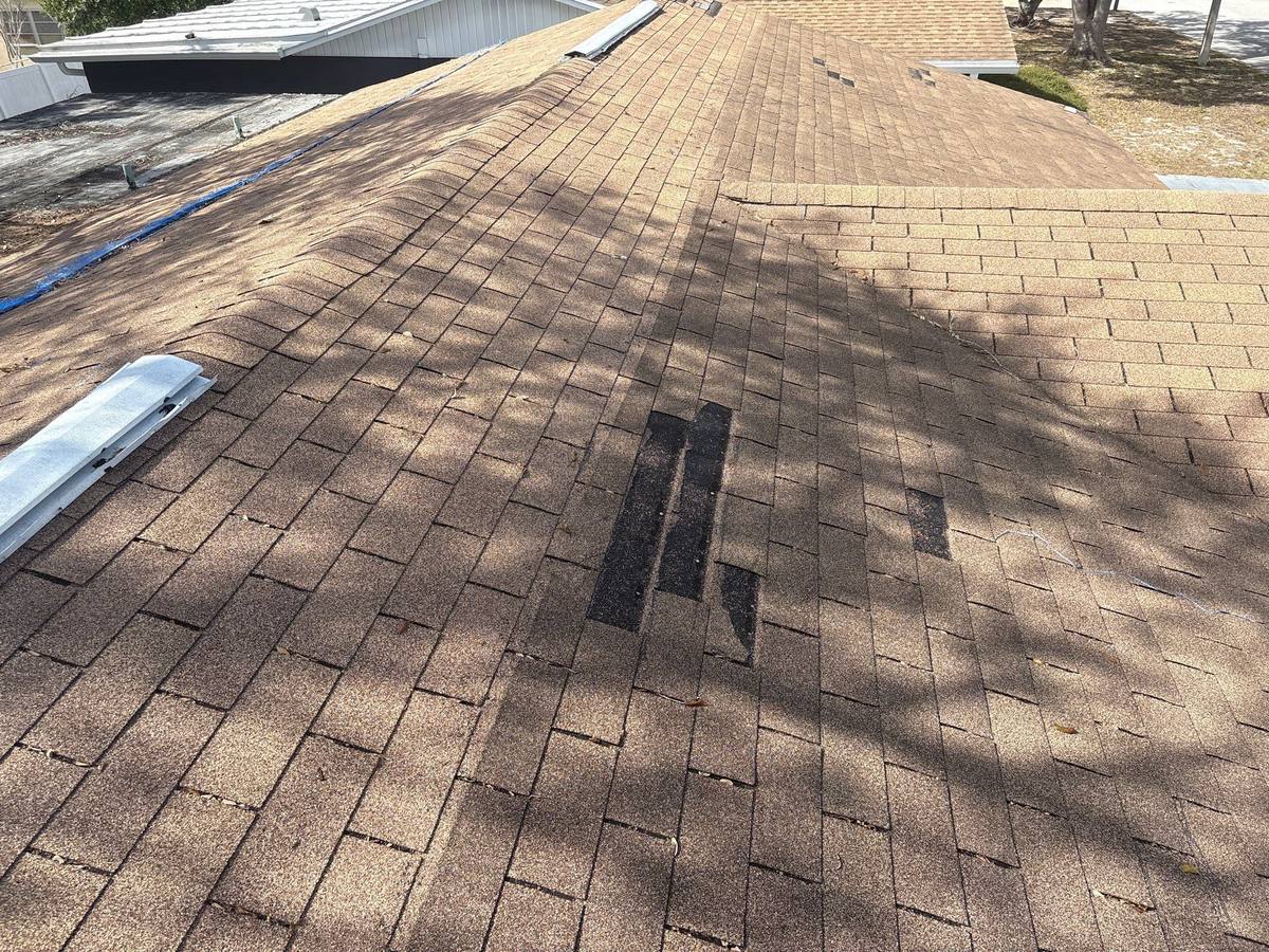 shingle roof replacement in Port Richey, Florida