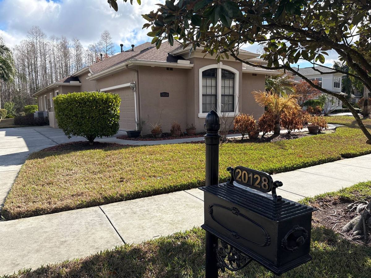 shingle roof replacement in Land O Lakes, Florida