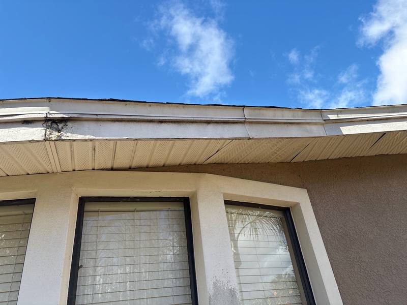 residential shingle roof replacement by Hloska Roofing in Land O Lakes