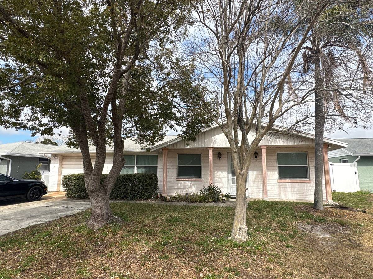 shingle roof replacement in New Port Richey, Florida