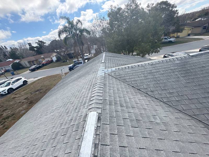 shingle roof replacement in New Port Richey, Florida