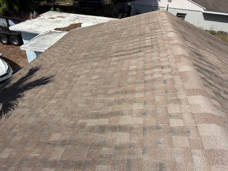 shingle roof replacement in Tampa, Florida