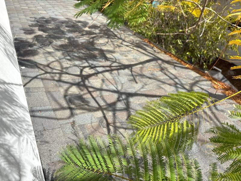 roof repair in Tampa, Florida