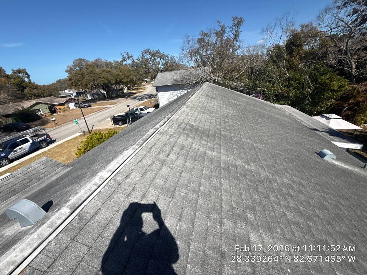 shingle roof replacement in Hudson, Florida
