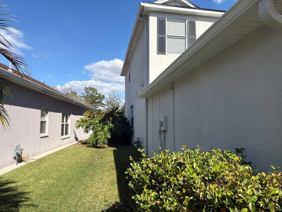 shingle roof replacement in Tampa, Florida