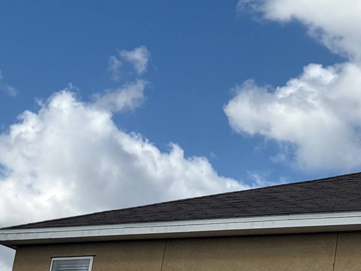 shingle roof replacement in Plant City, Florida
