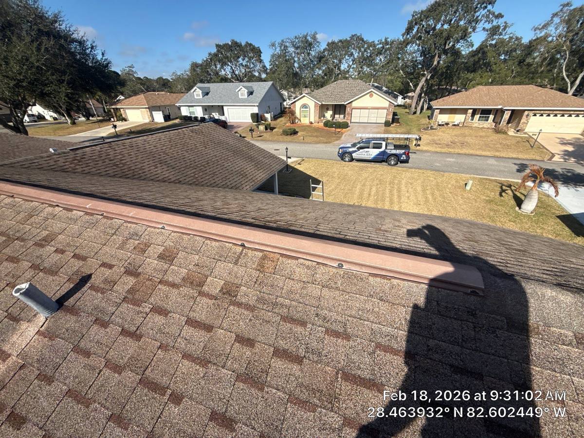 shingle roof replacement in Spring Hill, Florida