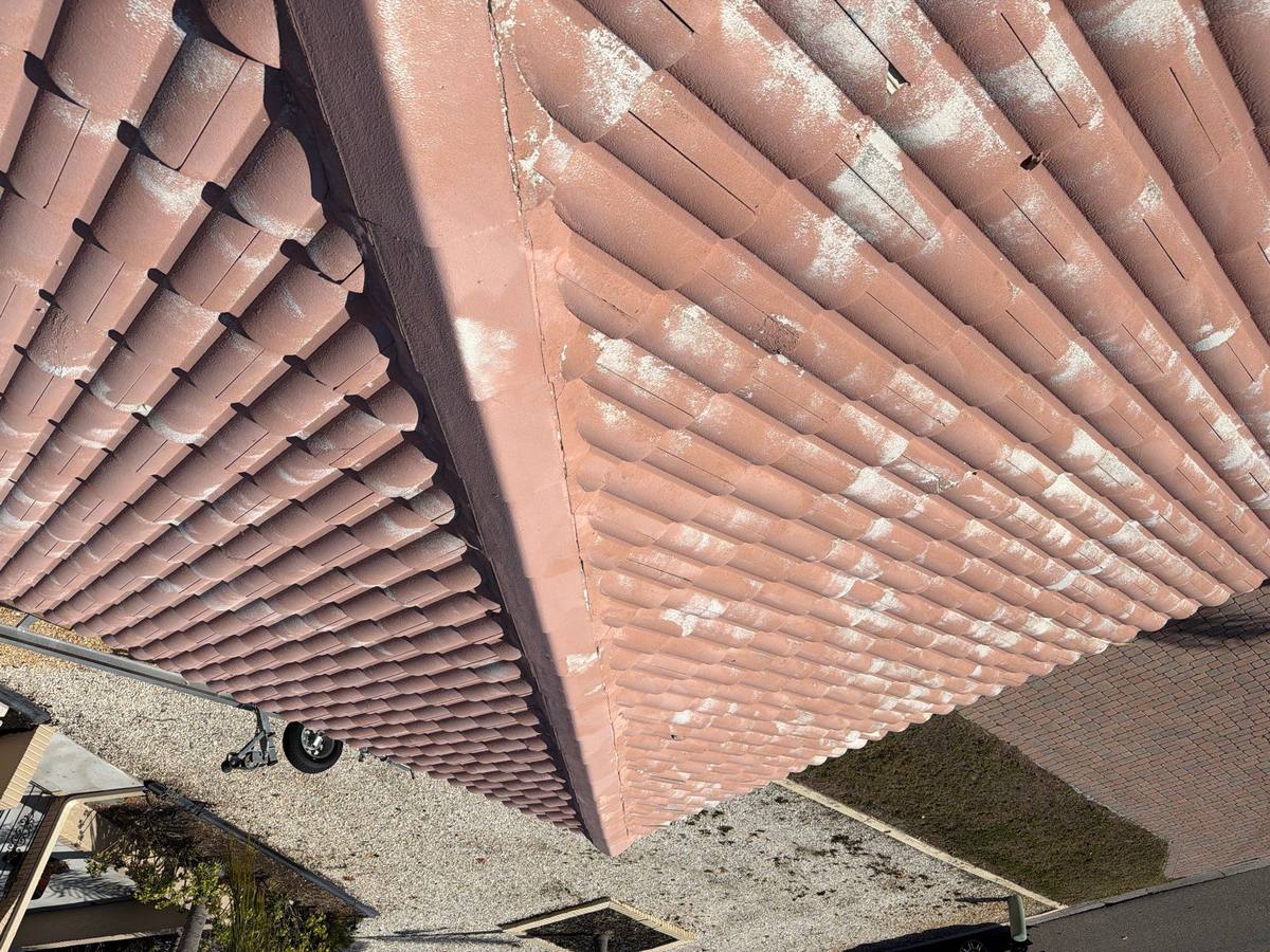 roof replacement in Apollo Beach, Florida