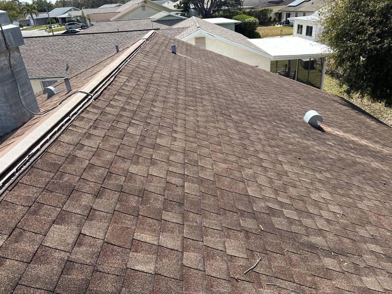 shingle roof replacement in Port Richey, Florida